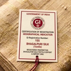 The GI Tag That Changed Everything: What It Really Means for Bhagalpur Silk